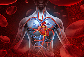 Вы пока не больны – вы окислены!