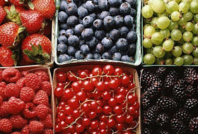 Вы знаете, какие продукты содержат воду?