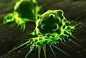 Кто запускает в ход раковую болезнь в нашем организме?