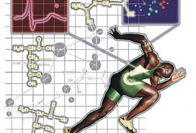 Энергетические процессы в организме