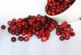 Полезные свойства клюквы для здоровья