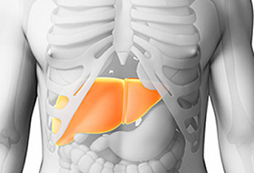 9 признаков перегрузки организма токсинами