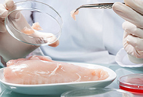 Куриные полуфабрикаты оказались опасными для здоровья