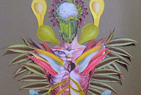 Это необходимо знать! Факторы, разрушающие ваш организм