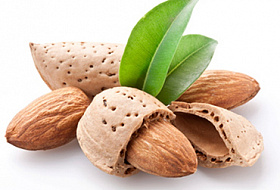 Употребление миндаля укрепляет здоровье