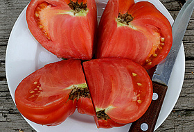 В мире зафиксирована первая смерть от ГМО...