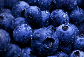 ПЯТЕРКА ЛУЧШИХ ПРИРОДНЫХ АНТИБИОТИКОВ