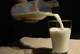 Гипс, мел и борная кислота: что производители подмешивают в молоко