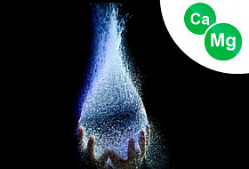 Магний и кальций в питьевой воде, и смертность от сердечнососудистых заболеваний