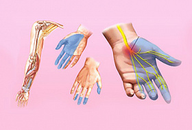 Почему немеют руки: 7 веских причин проверить свое здоровье