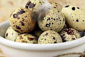 Антибиотики в яйцах: предприятие уничтожило 15 тысяч перепелок