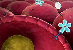 Грозные симптомы ДИАБЕТА