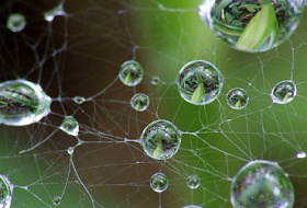 Использование воды с разными уровнями pH