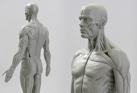 Хироми Шинья: научитесь слышать собственное тело