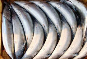 Гельминты в рыбе