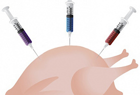ВНИМАНИЕ! Посмотрите как курятине придают товарный вид.