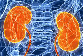 Мы сами убиваем наши почки! 10 привычек, о которых нужно навсегда забыть!