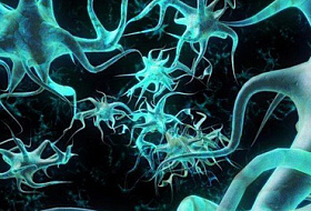 Коллоидная природа рака