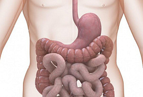 Пищеварительные проблемы